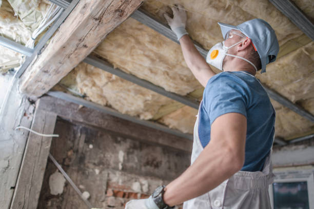Best Specialized Insulation Services in Renovo, PA