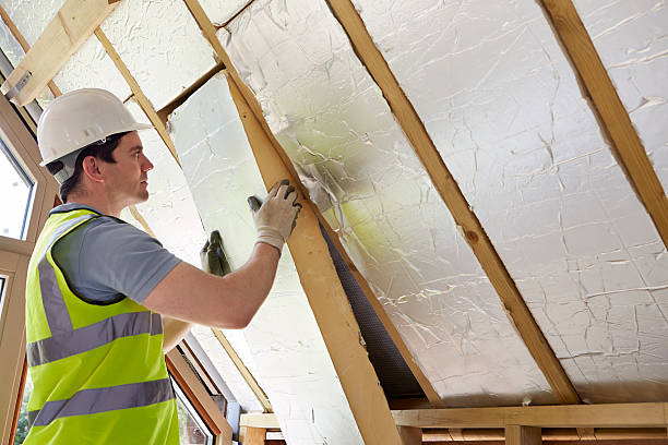 Best Eco-Friendly Insulation in Renovo, PA